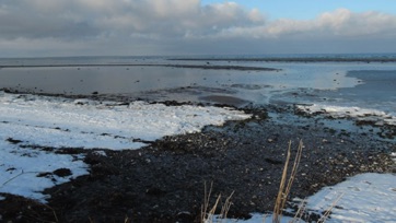 VED STRANDEN - LYSTRUP STRAND, VINTER VED STRANDEN - LYSTRUP STRAND, VINTER